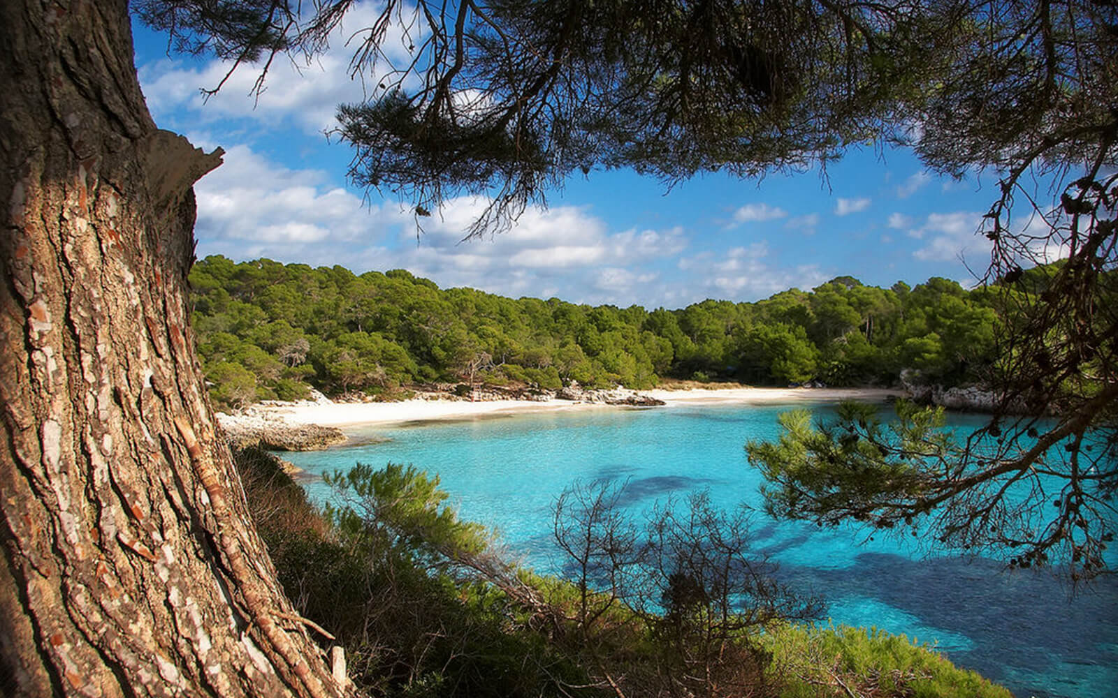 Menorca Cala7