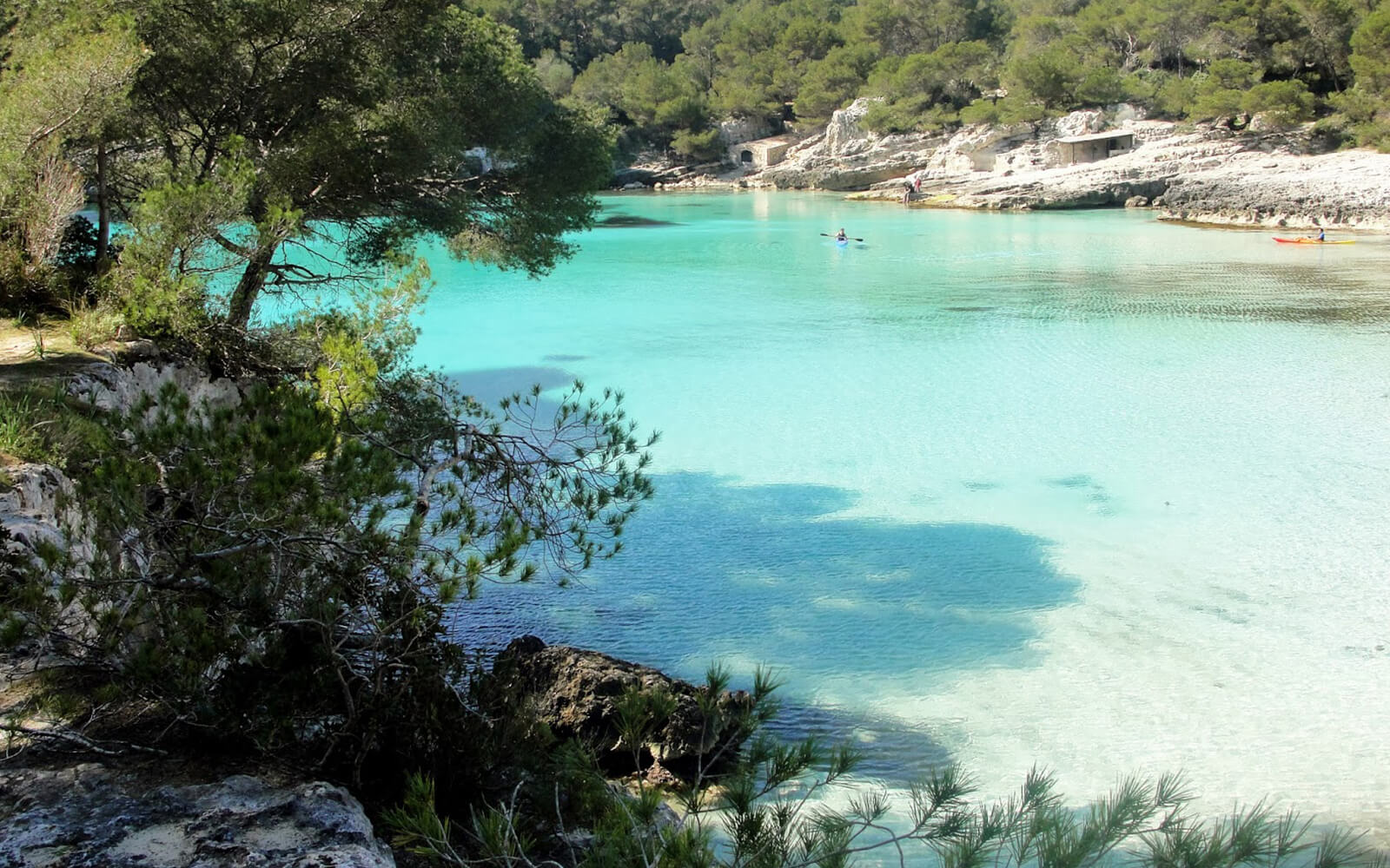 Cala 1